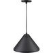 R Series 1 Light 13 inch Satin Black Indoor Pendant Ceiling Light